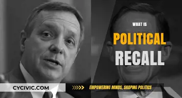 Understanding Political Recall: How Citizens Hold Leaders Accountable