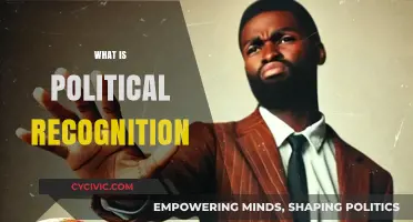 Understanding Political Recognition: Power, Legitimacy, and International Relations Explained