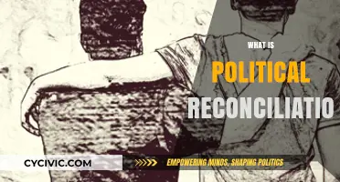 Understanding Political Reconciliation: Healing Divisions and Rebuilding Trust in Societies