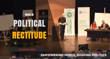 Understanding Political Rectitude: Navigating the Complexities of Modern Discourse