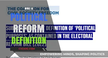 Understanding Political Reform: Definition, Importance, and Global Impact