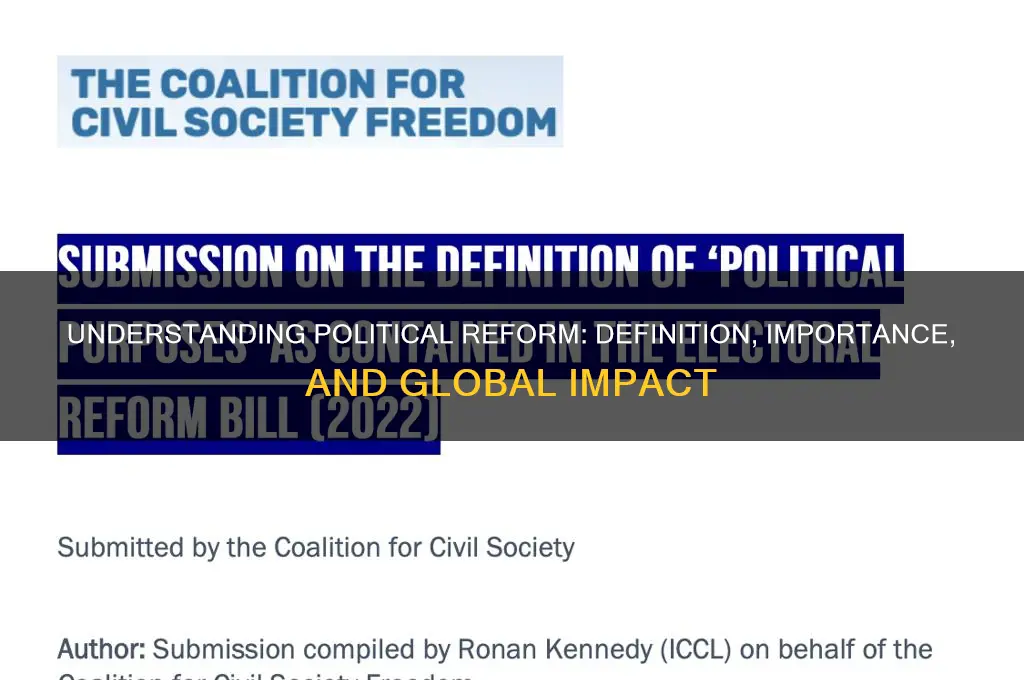 what is political reform definition