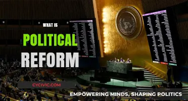 Understanding Political Reform: Key Concepts, Goals, and Global Impact