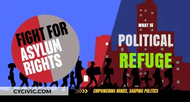 Understanding Political Refuge: Rights, Protections, and Global Implications Explained