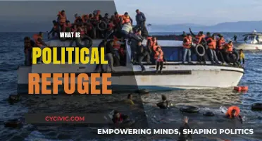 Understanding Political Refugees: Causes, Rights, and Global Impact Explained