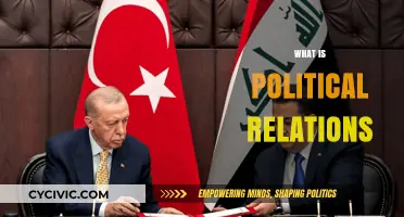 Understanding Political Relations: Dynamics, Influence, and Global Interconnections