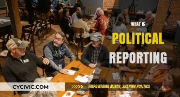 Understanding Political Reporting: Roles, Challenges, and Impact on Democracy