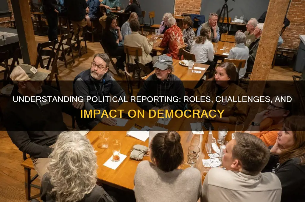 what is political reporting