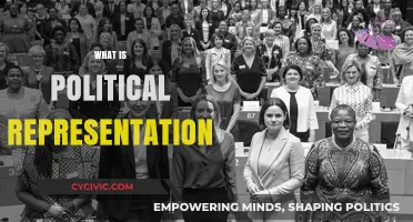 Understanding Political Representation: Roles, Responsibilities, and Real-World Impact