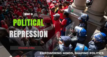 Understanding Political Repression: Causes, Tactics, and Global Impact Explained