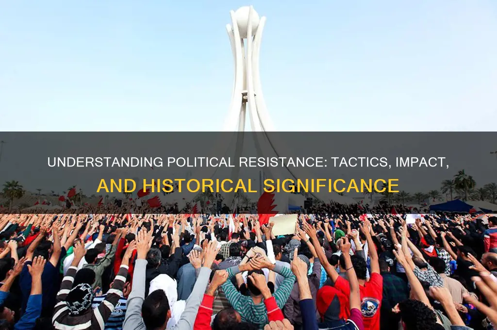 what is political resistance