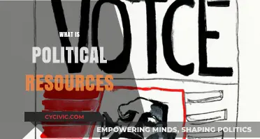 Understanding Political Resources: Power, Influence, and Strategic Assets Explained
