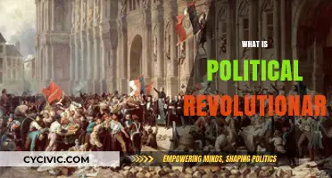 Understanding Political Revolutionaries: Their Role, Impact, and Historical Significance