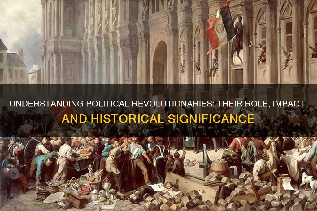 what is political revolutionary