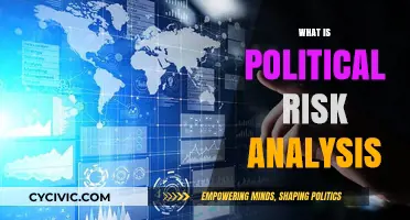 Understanding Political Risk Analysis: Strategies for Global Business Success