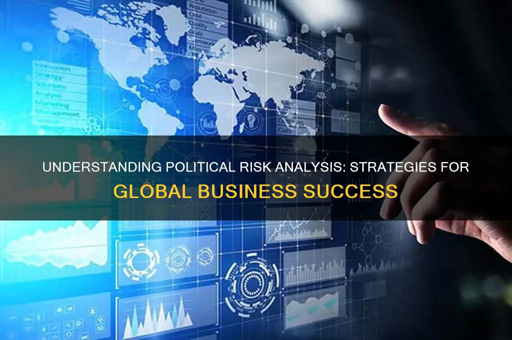 what is political risk analysis