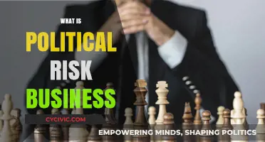 Understanding Political Risk in Business: Strategies for Global Success