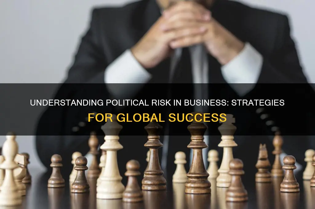 what is political risk business