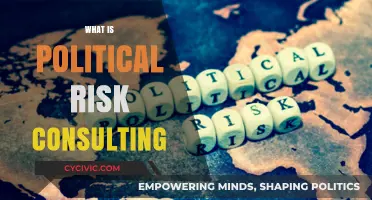 Understanding Political Risk Consulting: Strategies for Global Business Stability