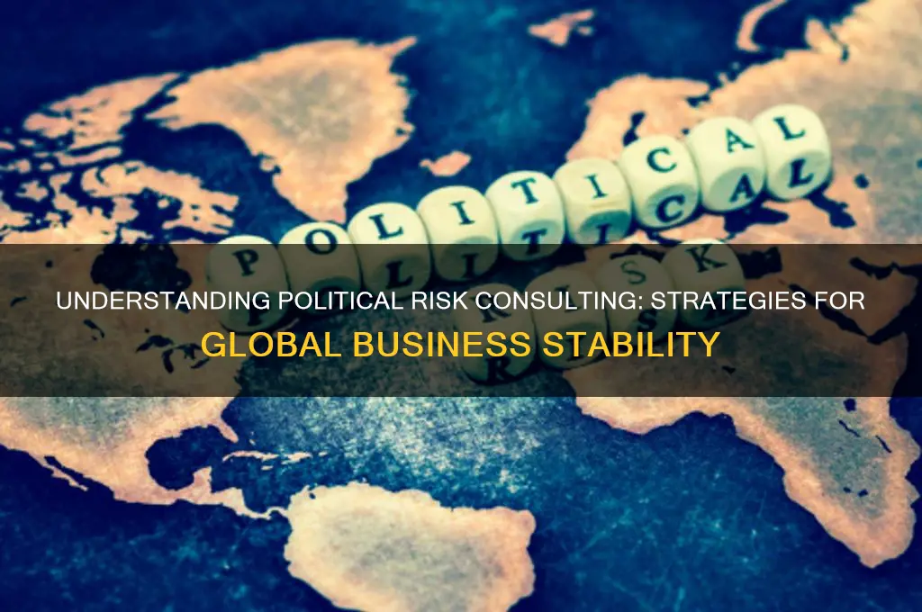 what is political risk consulting