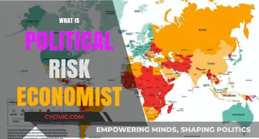Understanding Political Risk: An Economist's Guide to Global Uncertainty