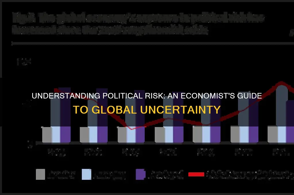 what is political risk economist