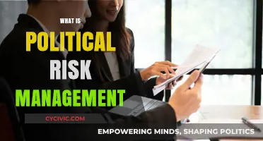Navigating Political Uncertainty: Understanding and Managing Political Risks Effectively