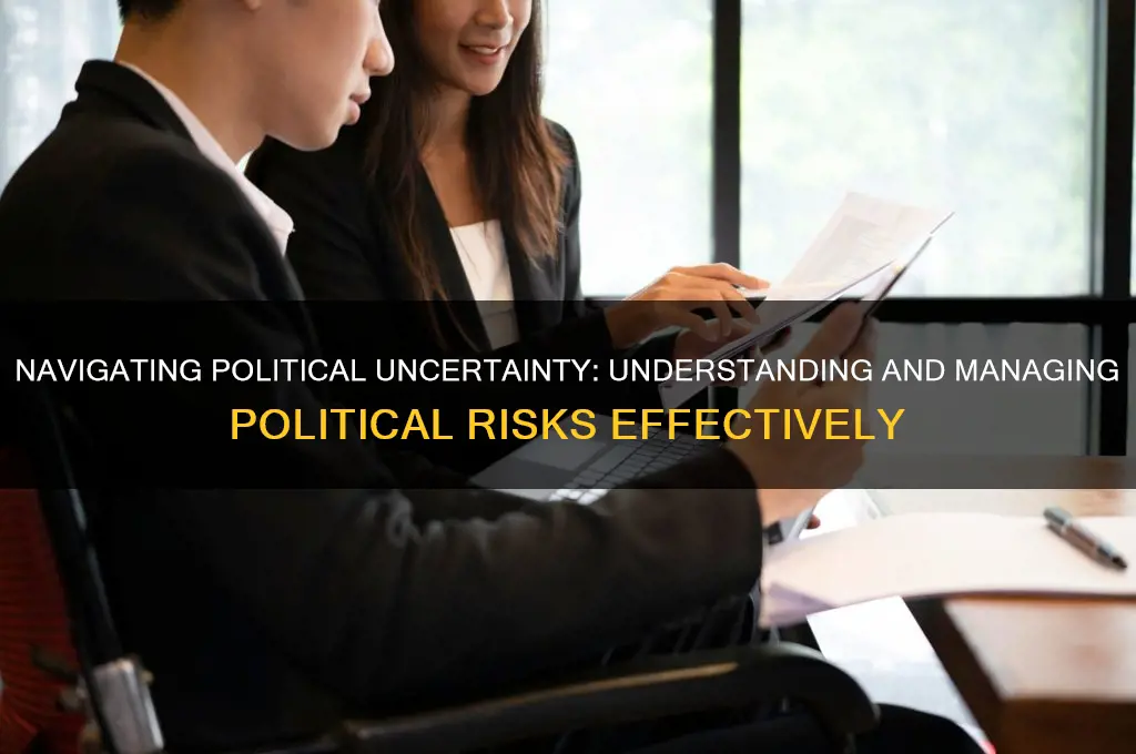 what is political risk management