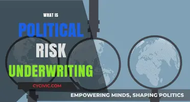 Understanding Political Risk Underwriting: Strategies for Global Investment Protection