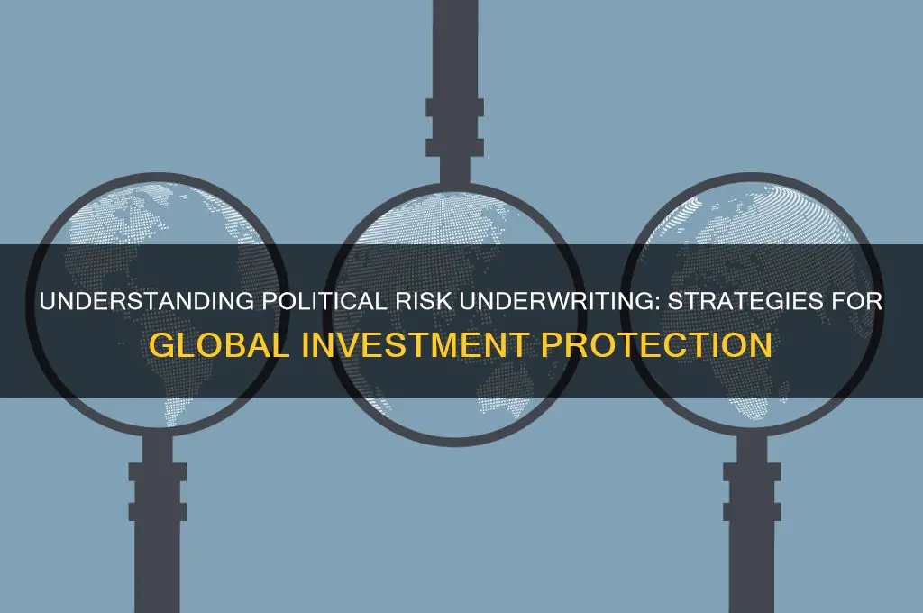 what is political risk underwriting