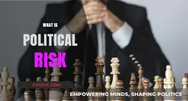 Understanding Political Risk: Impact, Mitigation, and Global Business Strategies