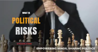 Understanding Political Risks: Impact on Global Business and Investment Strategies