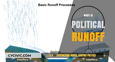 Understanding Political Runoff: How It Works and Why It Matters