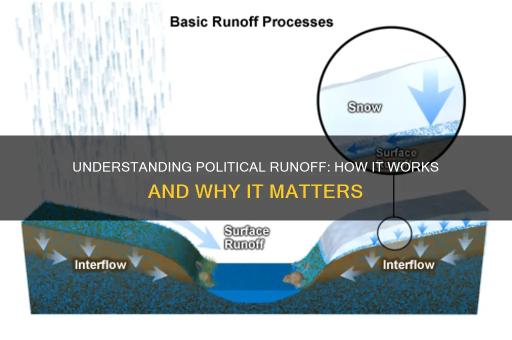 what is political runoff