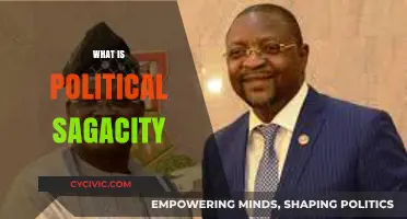 Understanding Political Sagacity: The Art of Wise Leadership and Strategy