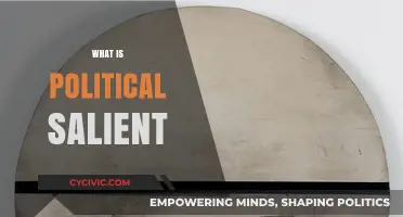 Understanding Political Salience: Key Concepts and Real-World Implications