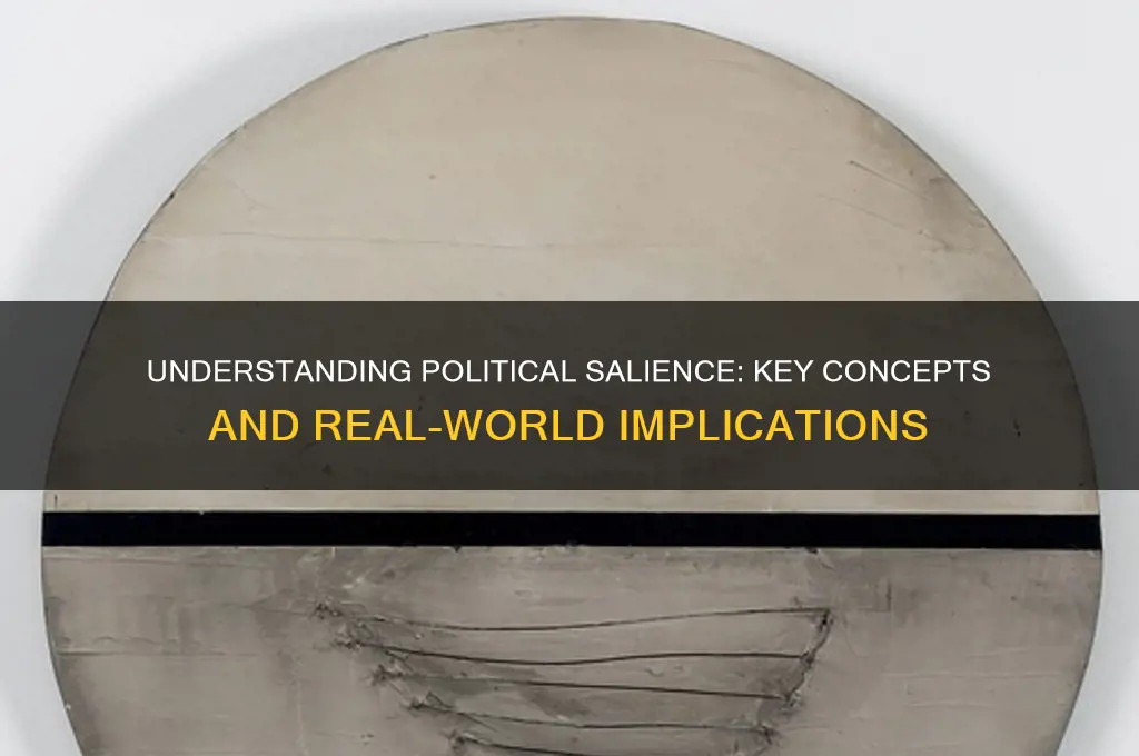 what is political salient