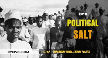 Understanding Political Salt: Its Role, Impact, and Influence in Politics