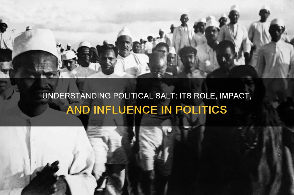 what is political salt