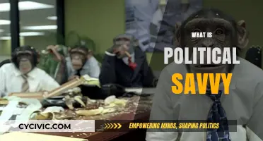 Understanding Political Savvy: Navigating Power Dynamics and Influence Effectively