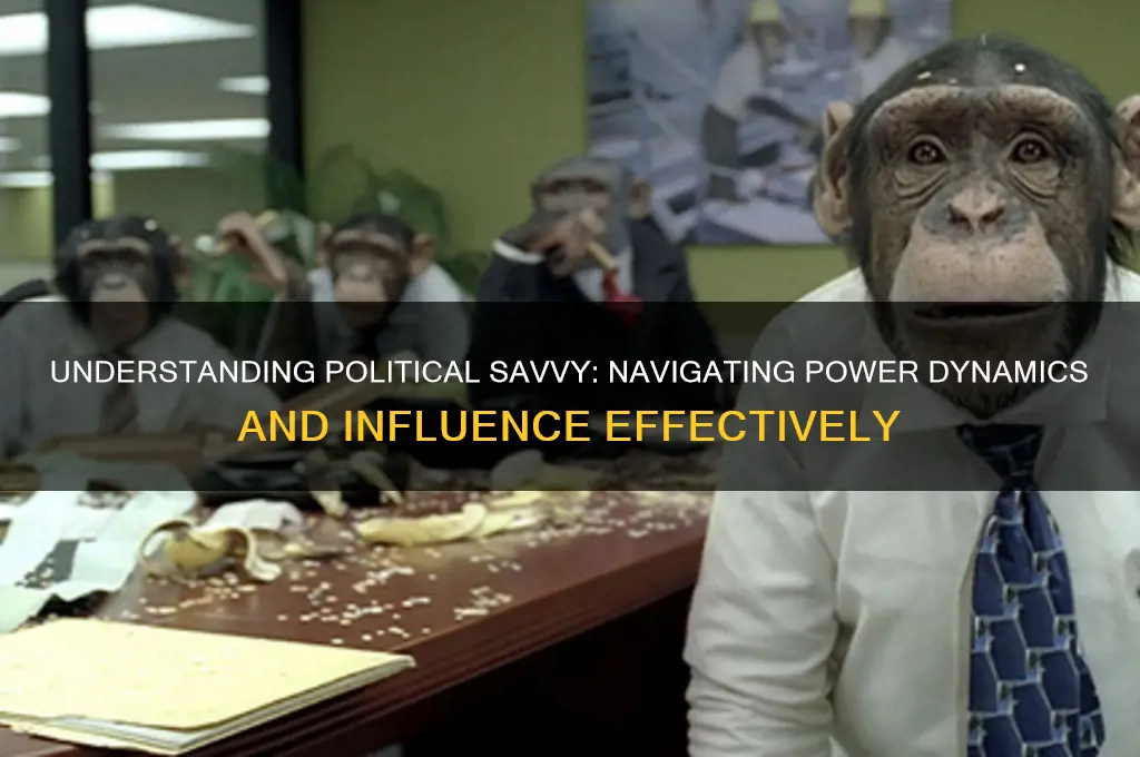 what is political savvy