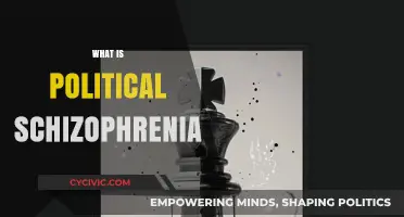 Political Schizophrenia: Understanding the Divide in Modern Governance
