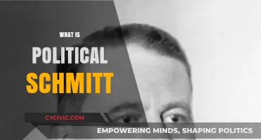 Understanding Political Schmitt: Key Concepts and Influence in Modern Politics