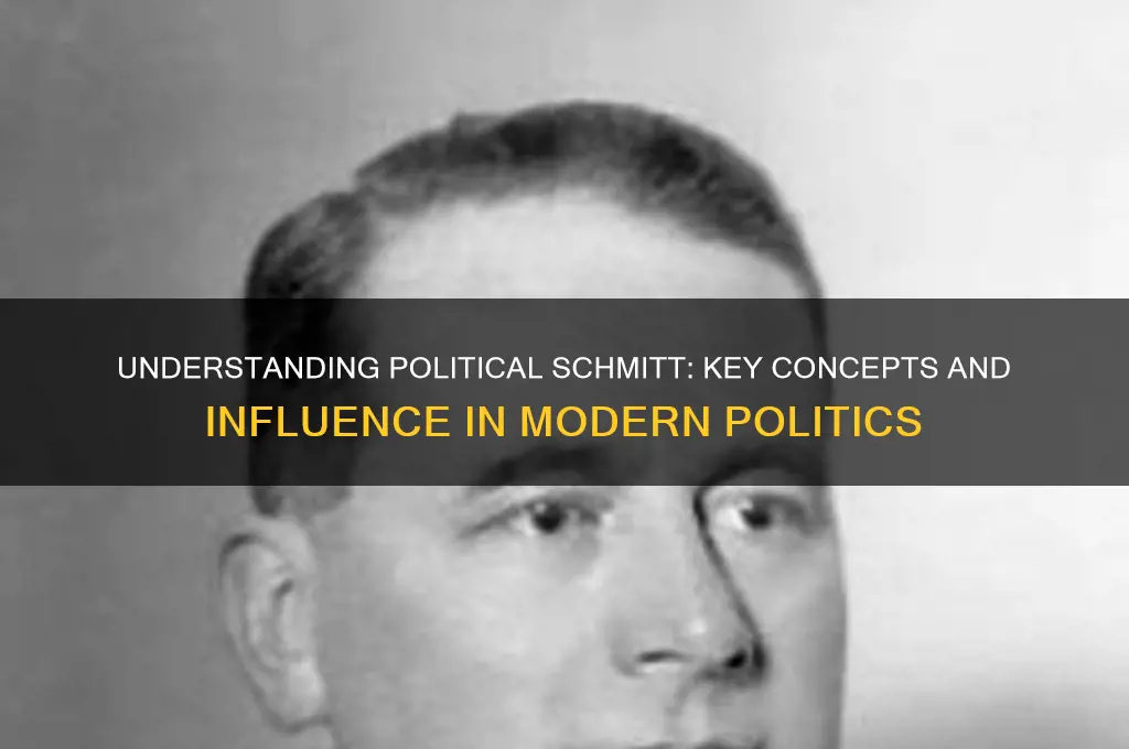 what is political schmitt