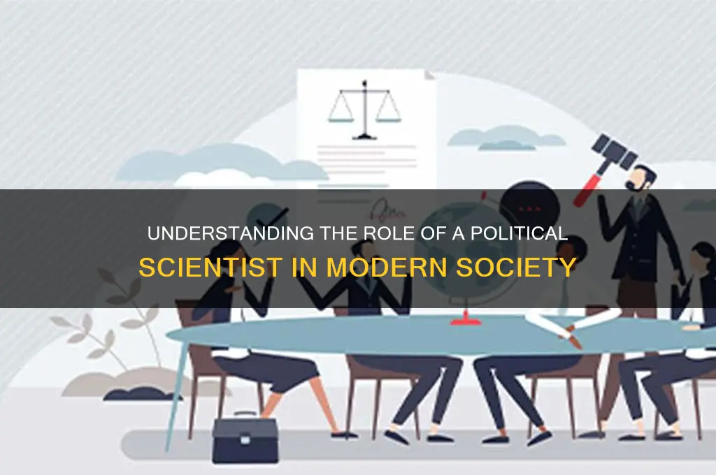 what is political scientist