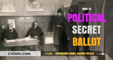 Understanding the Political Secret Ballot: Democracy's Private Voting Mechanism Explained