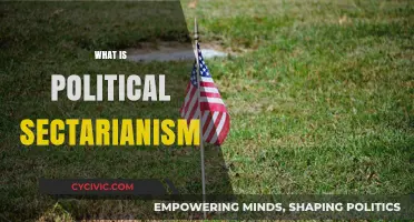 Understanding Political Sectarianism: Causes, Impact, and Solutions Explained