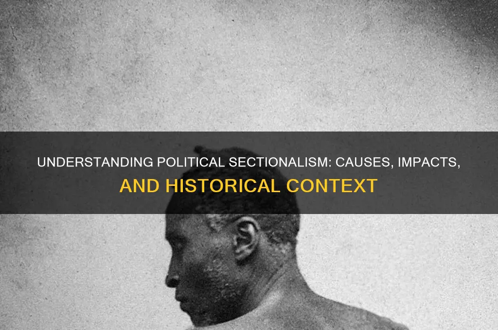 what is political sectionalism