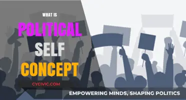 Understanding Political Self-Concept: Identity, Beliefs, and Civic Engagement Explained