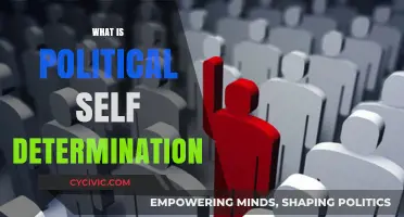 Understanding Political Self-Determination: Rights, Movements, and Global Impact